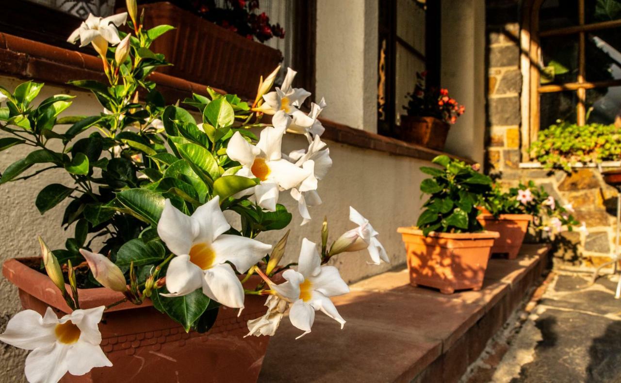 Hostal Montserrat Montseny Exterior foto