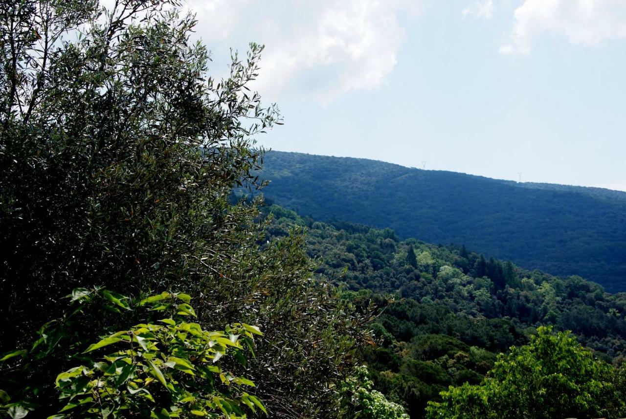 Hostal Montserrat Montseny Exterior foto