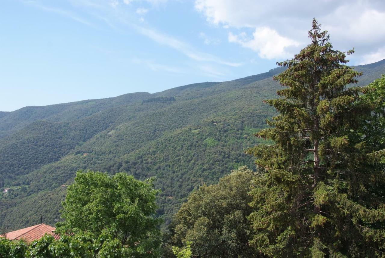 Hostal Montserrat Montseny Exterior foto